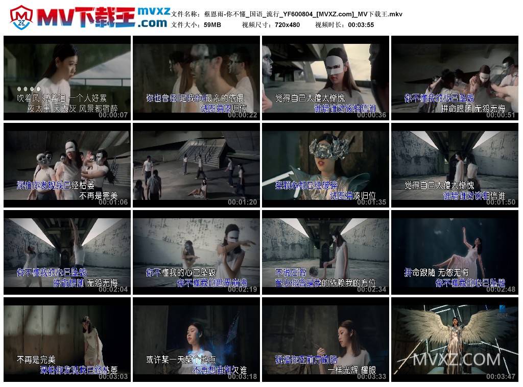 蔡恩雨-你不懂_国语_流行_YF600804
